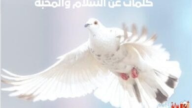 كلمات عن السلام والمحبة .. أجمل العبارات عن السلام الداخلي تويتر