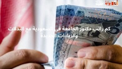 كم راتب دكتور الجامعة في السعودية مع البدلات والزيادات الجديدة
