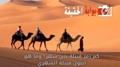 كم رمز قبيلة بني شهر؟ وما هو أصول قبيلة الشهري