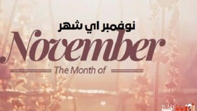 نوفمبر اي شهر