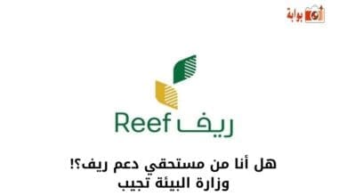 هل أنا من مستحقي دعم ريف؟! وزارة البيئة تجيب