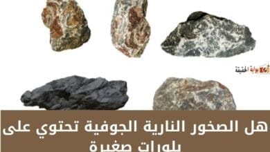 هل الصخور النارية الجوفية تحتوي على بلورات صغيرة العبارة صحيحة أم خطأ