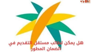 هل يمكن لطالب مستقل التقديم في الضمان المطور