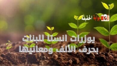 يوزرات انستا للبنات بحرف الباء