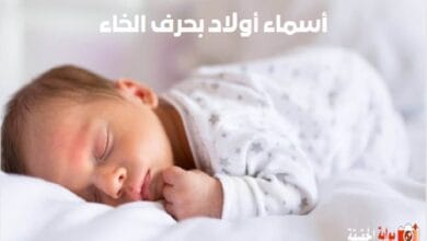 أسماء أولاد بحرف الدال