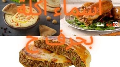 اسماء اكلة بحرف ح تدرج كل المعلومات عنها