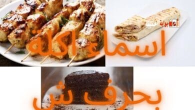 اسماء اكلة بحرف ش بمجمل المعلومات