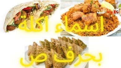 اسماء اكلة بحرف ص مشتملة على كافة المعلومات