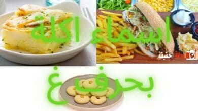 اسماء اكلة بحرف غ بكامل المعلومات