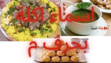 اسماء اكلة بحرف م مكتملة المعلومات