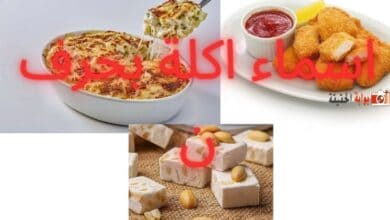 اسماء اكلة بحرف ن مستفيضة المعلومات