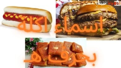 اسماء اكلة بحرف هـ مفصلة المعلومات