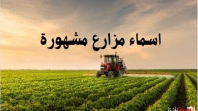 اسماء مزارع مشهورة