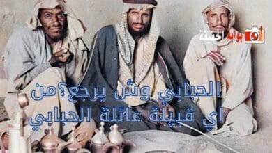 الحبابي وش يرجع؟من اي قبيلة عائلة الحبابي