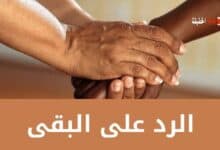 الرد على البقى مع أرقى الردود