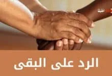 الرد على البقى مع أرقى الردود