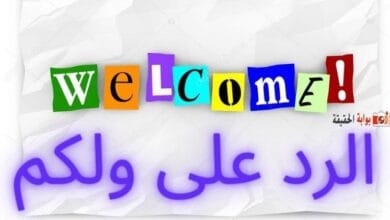 الرد على ولكم بأفضل الردود الممكنة