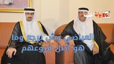 العياضي وش يرجع وما هو أصل فروعهم