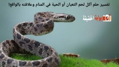 تفسير حلم أكل لحم الثعبان أو الحية في المنام