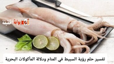 تفسير حلم رؤية السبيط في المنام