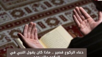 دعاء الركوع قصير .. ماذا كان يقول النبي في الركوع والسجود