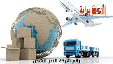 رقم شركة البدر للشحن