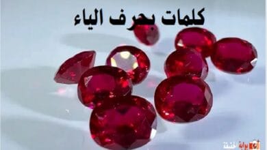 كلمات بحرف الياء