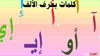 كلمات بحرف الألف