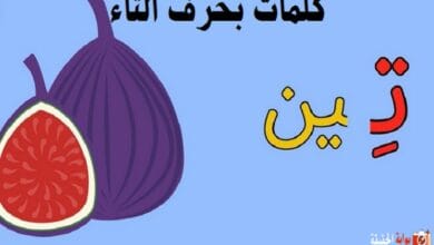 كلمات بحرف التاء