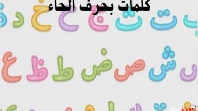 كلمات بحرف الحاء