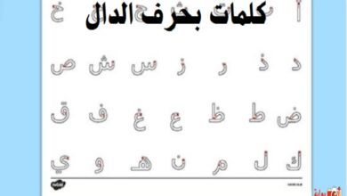 كلمات بحرف الدال