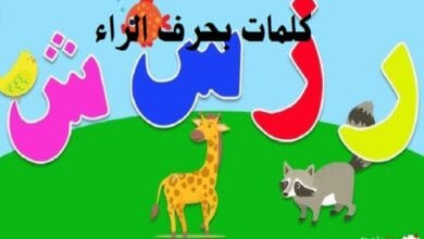 كلمات بحرف الراء