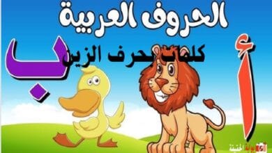 كلمات بحرف الزين
