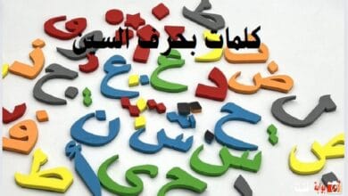 كلمات بحرف السين