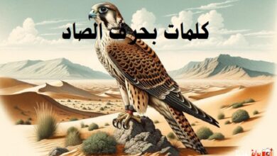 كلمات بحرف الصاد