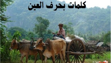 كلمات بحرف العين