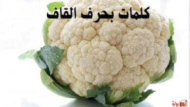 كلمات بحرف القاف