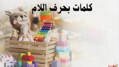 كلمات بحرف اللام