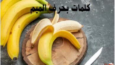 كلمات بحرف الميم