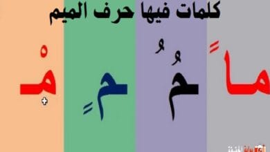كلمات فيها حرف الميم