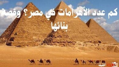 كم عدد الأهرامات في مصر؟ وقصة بنائها