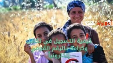 كيفية التسجيل في تكافل وكرامة بـالرقم القومي إلكترونياً