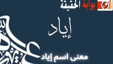 معنى اسم إياد