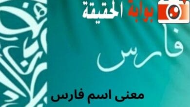 معنى اسم فارس