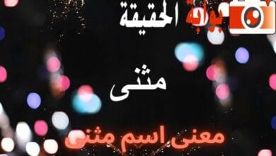 معنى اسم مثنى