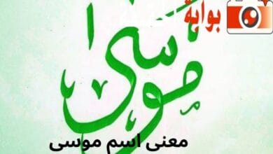 معنى اسم موسى