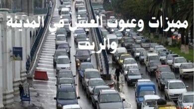 مميزات وعيوب العيش في المدينة والريف