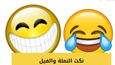 نكت النملة والفيل