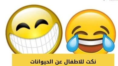 نكت للاطفال عن الحيوانات