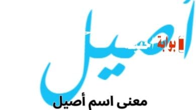معنى اسم أصيل